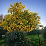 Le Mimose & Oasi Di Relax Tra I Borghi Umbri *