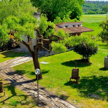 Le Mimose & Oasi Di Relax Tra I Borghi Umbri Mercatello (Montefalco)
