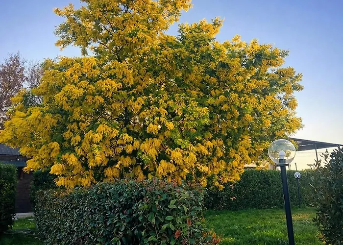Le Mimose & Oasi Di Relax Tra I Borghi Umbri *